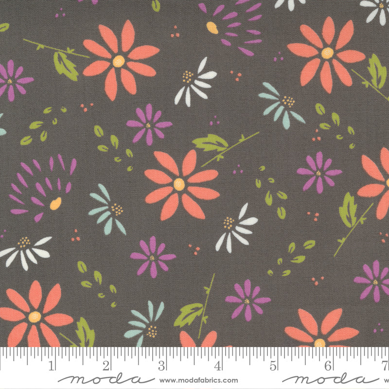 Seashore Drive | Bliss Floral Abstract Daisy Charcoal