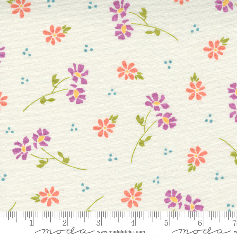 Seashore Drive | Daisy Medium Floral Ivory