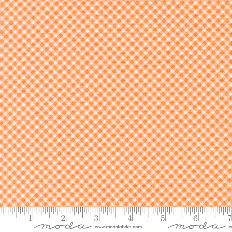 Strawberry Lemonade | Gingham Checks and Plaids Apricot