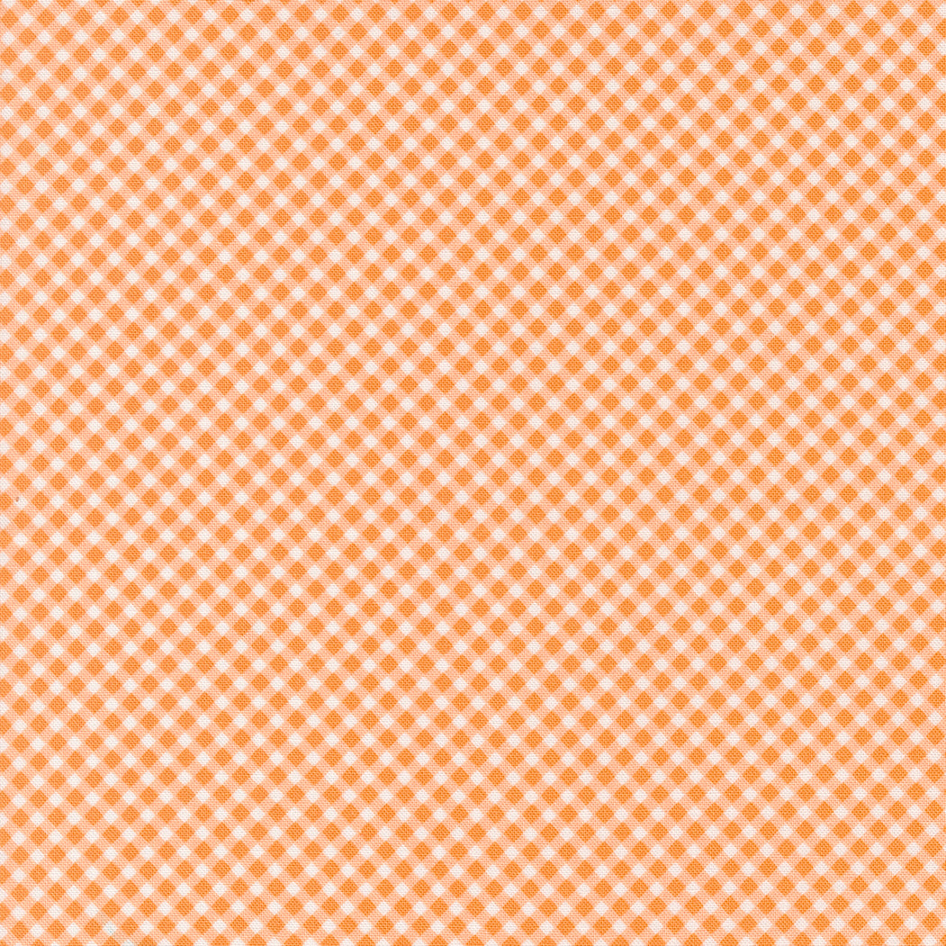 Strawberry Lemonade | Gingham Checks and Plaids Apricot