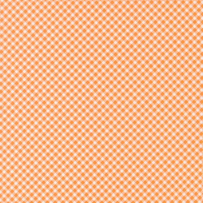 Strawberry Lemonade | Gingham Checks and Plaids Apricot