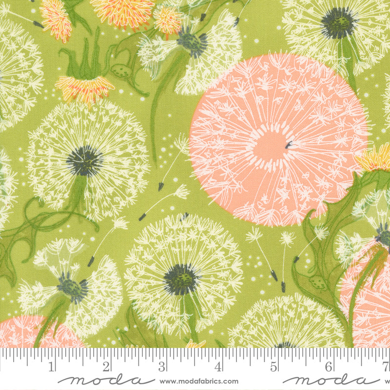 Dandi Duo | Dandelions Fields Florals Grass