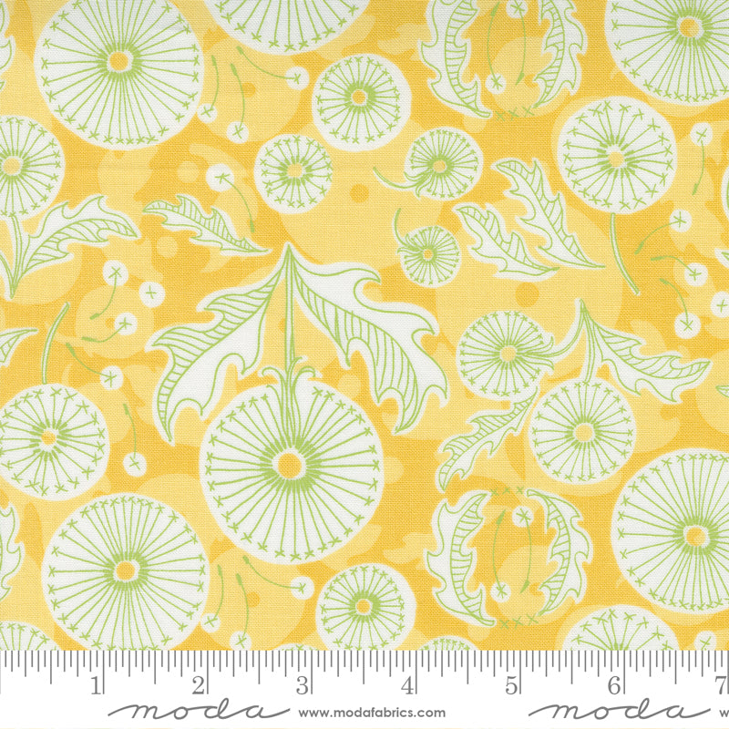 Dandi Duo | Dandi Toile Blenders Maize