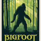 Legends of the National Parks | Bigfoot The Missing Link Panel - Digitally Printed