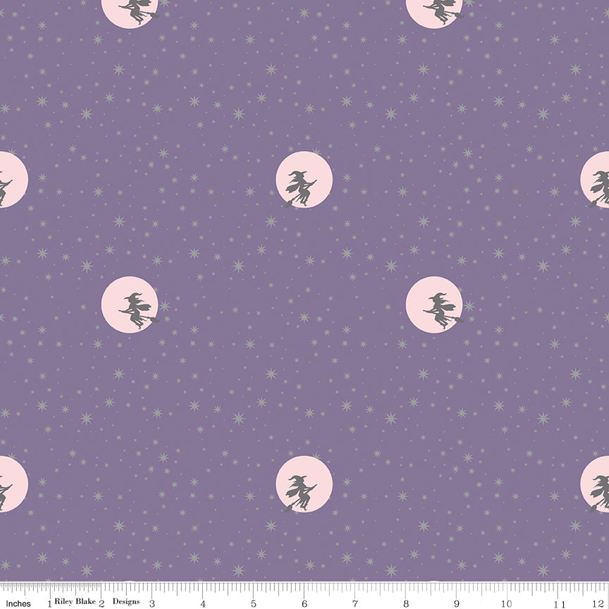 Spooky Schoolhouse | Starry Night Lilac Sparkle