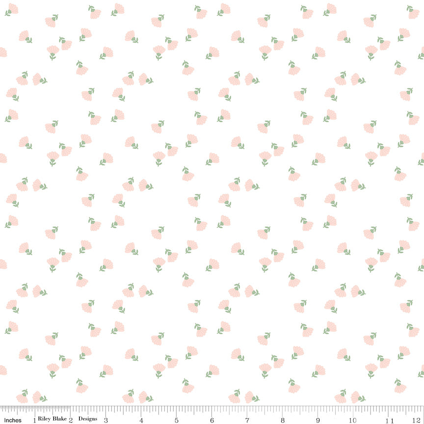 Hibiscus | Ditzy Floral White