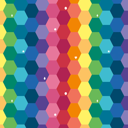 Imagine | Main Rainbow Hexagons