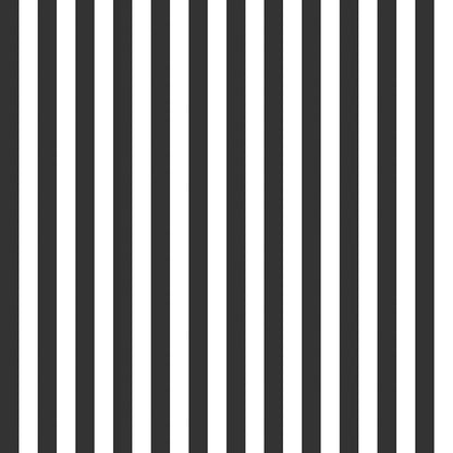 Stripes | 1/2" Stripe Black